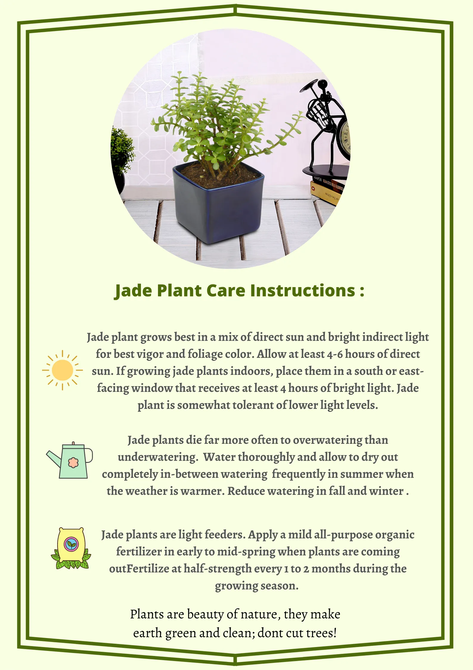 Exotic Green Combo Pack of Feng Shui Jade Plant with Handglazed White & Blue Ceramic Pot Rakhi Special Pack I Rakhi Combo Pack with Cadbury Chocolates I Special Gift Pack For Rakhi